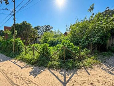 Terreno para Venda, em Imbituba, bairro Ibiraquera